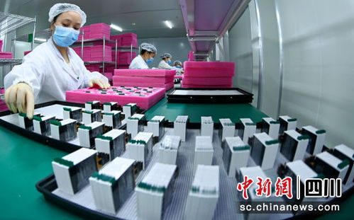 南充蓬安擘画新蓝图 技术服务开启高质量发展新征程