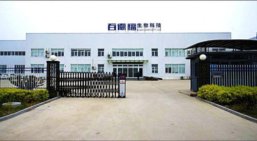 百德福荣获2026第十三届品牌影响力发展大会两项殊荣，技术服务能力再获权威认可