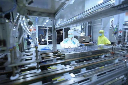 一把手谈创新丨仙居县委书记占雅静 以科技创新变量激活县域高质量发展增量